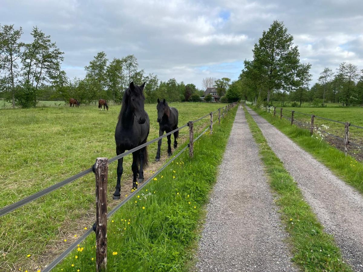 B&B Ut En Thus Sweagerbosk Esterno foto